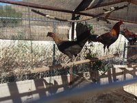 20180131_130421.jpg