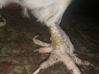 20180131_171151.jpg