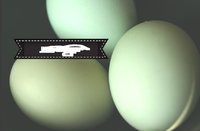 s-l16002.jpg