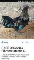 Screenshot_20180201-183145.png