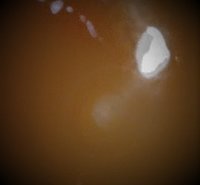20180202_0846447.jpg