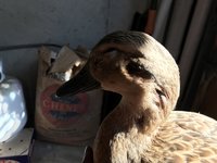 IMG_0201.jpg