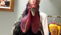 20180101_182044.jpg