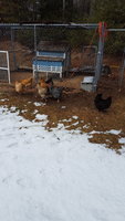 20180202_135128.jpg
