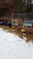 20180202_135144.jpg
