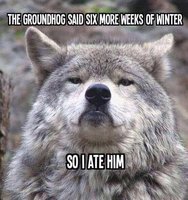 2EFE1139-3EA2-407E-A9BB-37C773526CA8.jpeg