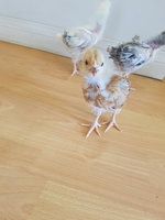 20180203_140059.jpg