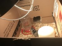 C676562A-8BD6-4643-9CD6-A57D528E239E.jpeg