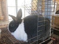 20180114_131638.jpg