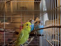 WP_20180128_12_45_10_Pro_LI.jpg
