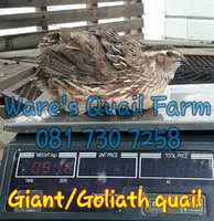 8104DE62-0DF1-48D7-B4DA-22E184173254.jpeg