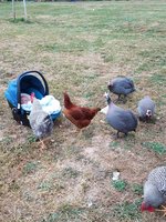 20171005_170823.jpg
