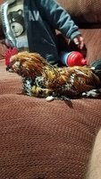 20171114_161104.jpg