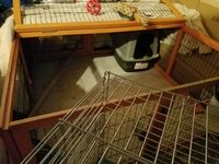 20171104_221204.jpg