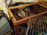 20171104_220242.jpg