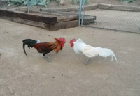 20180205_134035.png