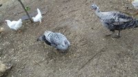IMG_20180206_084636.jpg