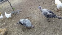 IMG_20180206_084639.jpg