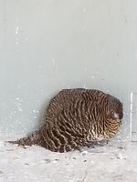 20180206_074715.jpg