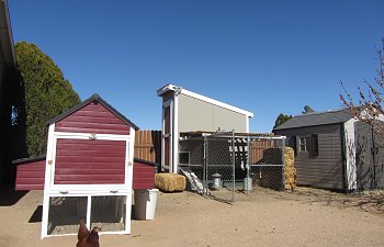 4'x8' Downeast Thunder Farm Chicken Coop