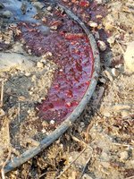 20180206_155248.jpg