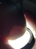 388B4C3D-A8E5-48D6-B71E-337943EC0830.jpeg