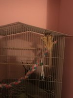 7D9A9087-858F-4BE6-B1B6-E82517DF7DF9.jpeg
