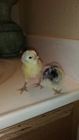 20180207_135449.jpg