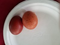 20180207_142512.jpg