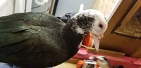 20180208_075901.jpg