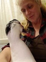 20180208_093721.jpg