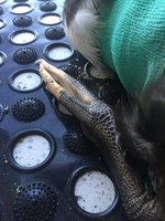 55CA8E5D-6845-4421-BAC2-405F7455E6DA.jpeg