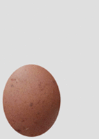 welcome-tweety-150-farmer-c.gif