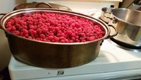 raspberries.jpg