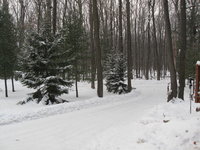 IMG_3643.JPG