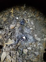 20180209_192551.jpg 20180209_192551.jpg