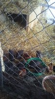 20180207_102846.jpg