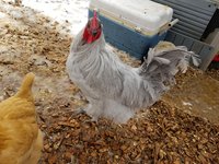 20180210_113615.jpg