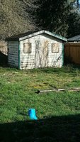 FB_IMG_1518293045827.jpg