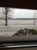 IMG_20180211_090446822.jpg