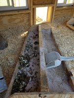20180121_111944 (1).jpg