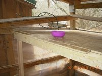 22 getting out of trouble - the Landing Board addition to safely receive Guinea feet.jpg 22 getting out of trouble - the Landing Board addition to safely receive Guinea feet.jpg