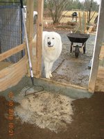 26 filling floor.jpg 26 filling floor.jpg