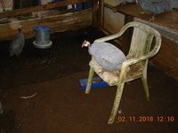 44 hey _ my chair.jpg 44 hey _ my chair.jpg
