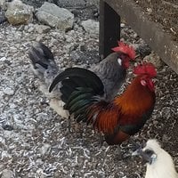 20180212_092728.jpg