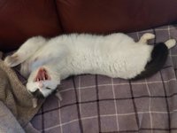 IMG_20180212_112128610.jpg
