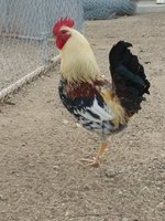 20180211_160846.jpg
