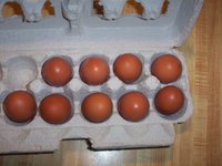 100_3271.JPG