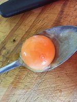 2478D0C8-4988-4589-A812-C8D34CF56B48.jpeg