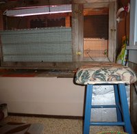 brooder chair.jpg